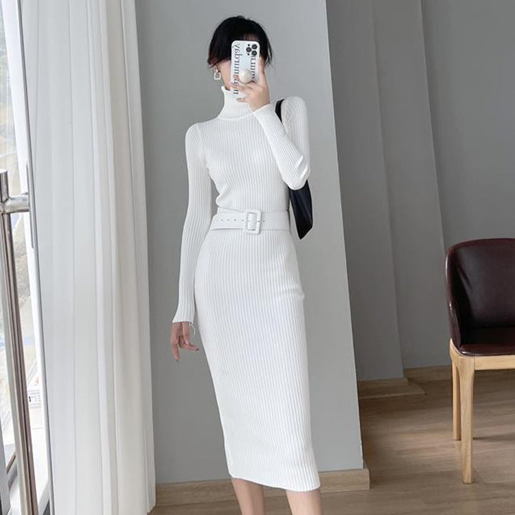 French Style Turtleneck Base Inner Knitted Dress Nyzzle