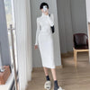 French Style Turtleneck Base Inner Knitted Dress Nyzzle