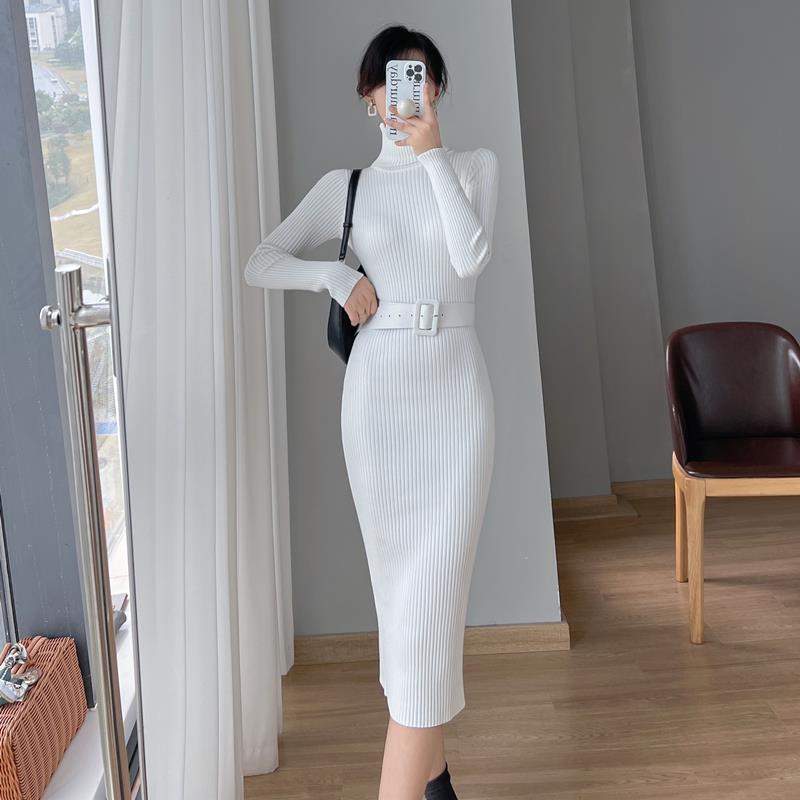 French Style Turtleneck Base Inner Knitted Dress Nyzzle