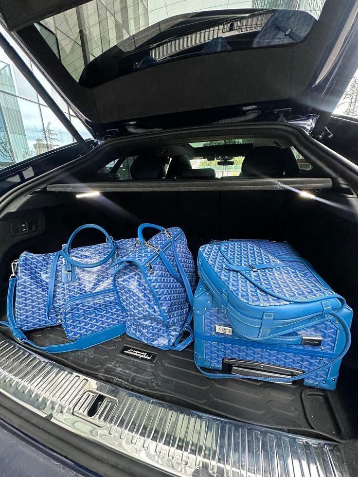 Goyard 1984 - GOD Bags - 294 Sneakerlandzo
