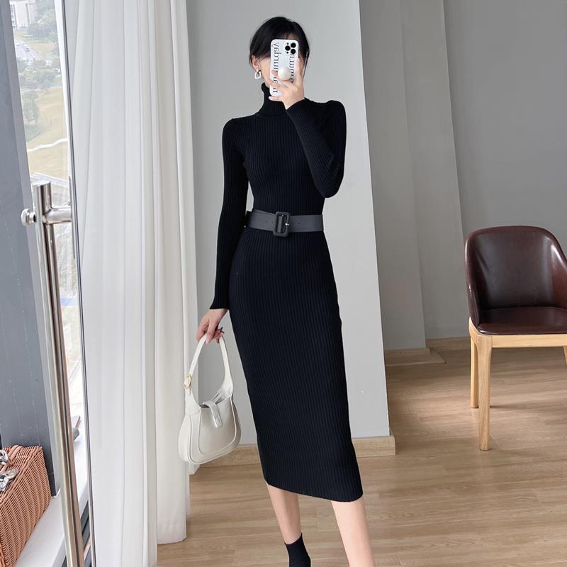 French Style Turtleneck Base Inner Knitted Dress Nyzzle