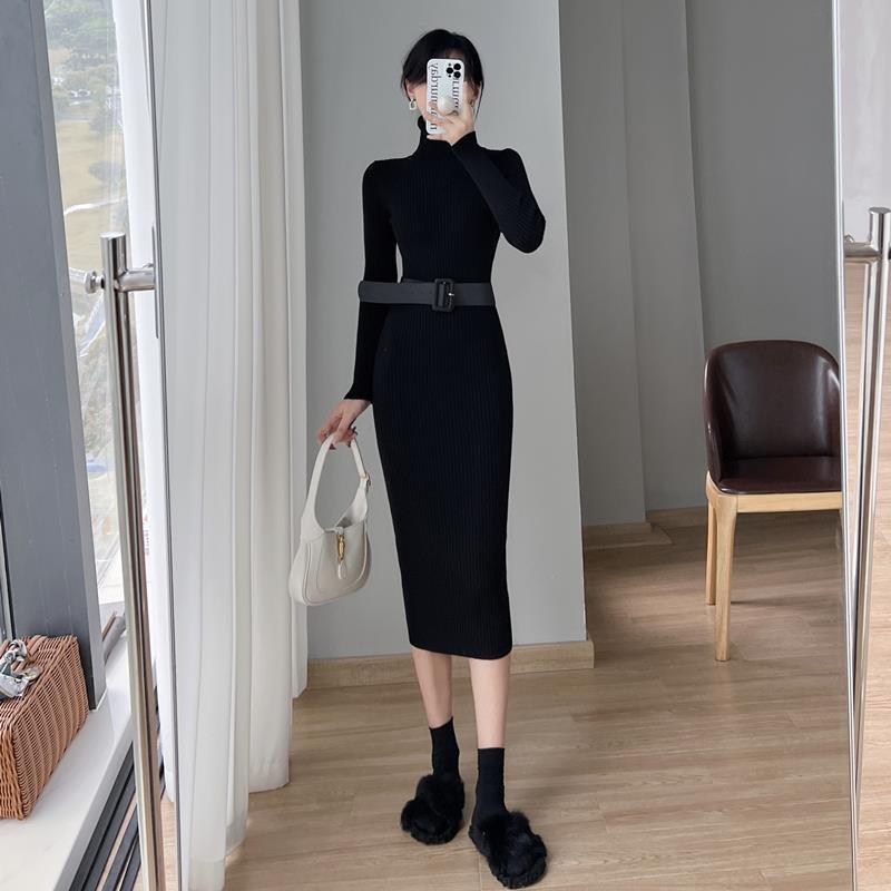French Style Turtleneck Base Inner Knitted Dress Nyzzle